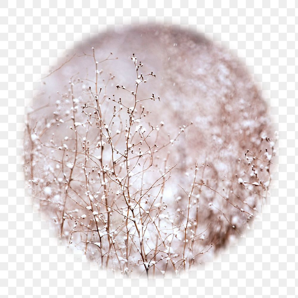 Winter flowers png badge sticker, aesthetic photo in soft edge circle, transparent background