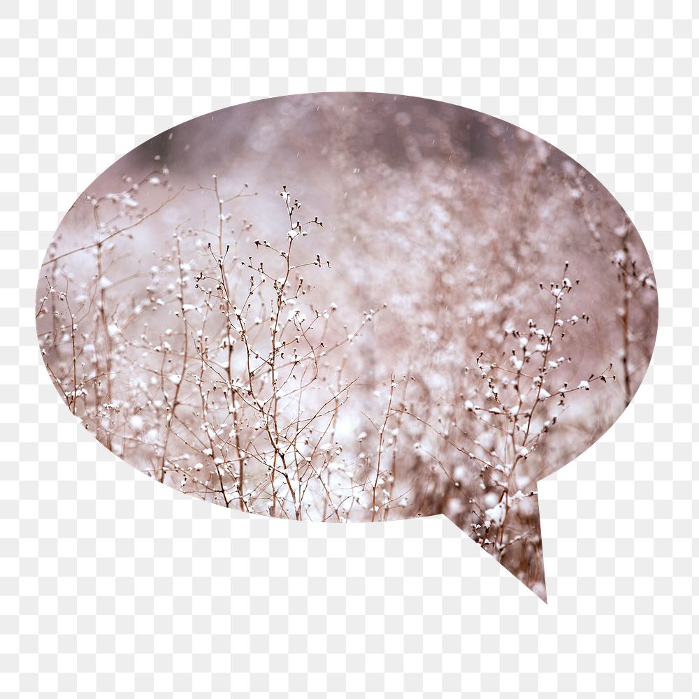 Winter flowers png badge sticker, aesthetic photo in speech bubble, transparent background