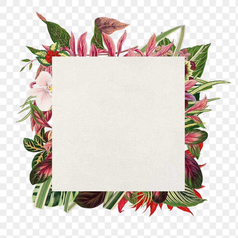 Aesthetic flower frame png, floral illustration, transparent background