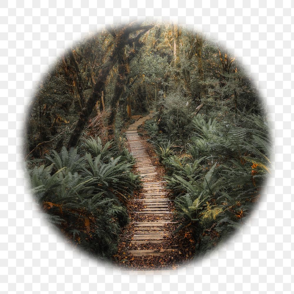 Forest pathway png badge sticker, nature photo in blur edge circle, transparent background