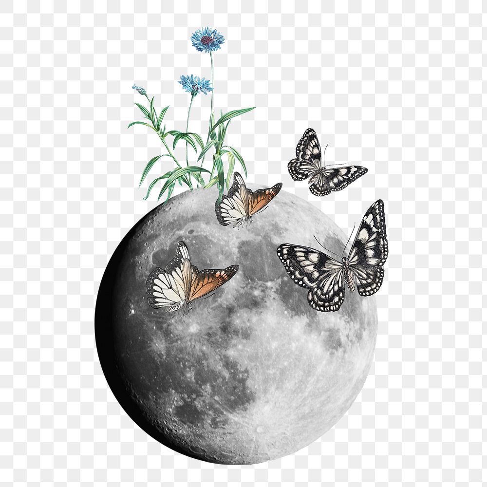 Moon & butterflies png sticker, mixed media transparent background