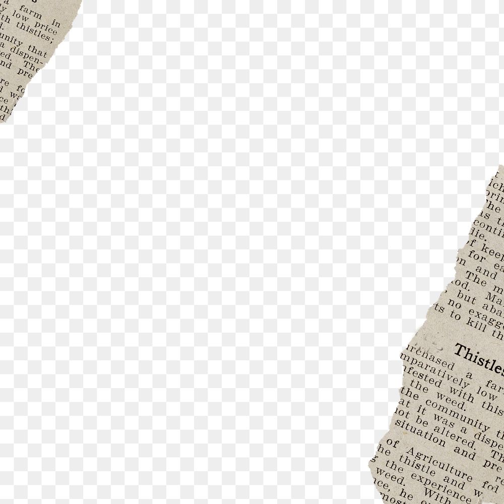 Vintage paper png border, note transparent background