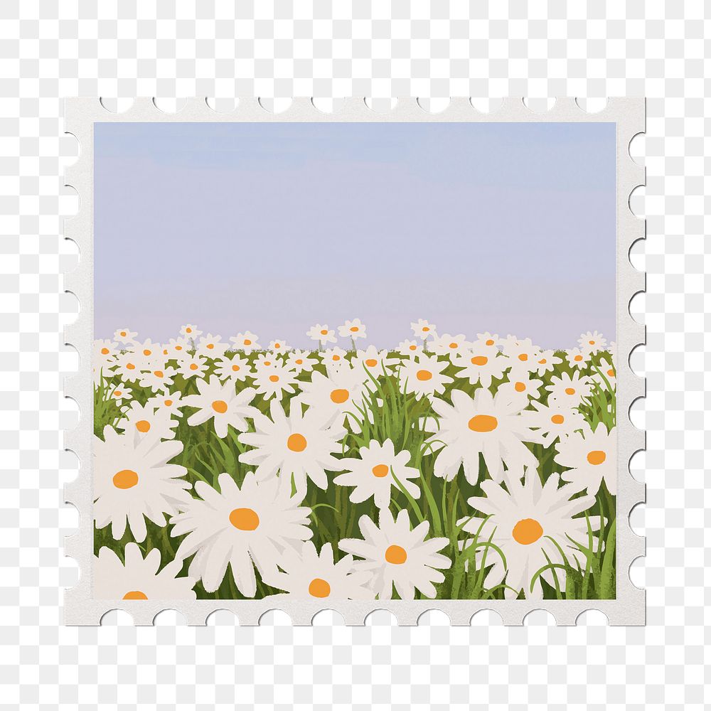 Daisy field png sticker, transparent background