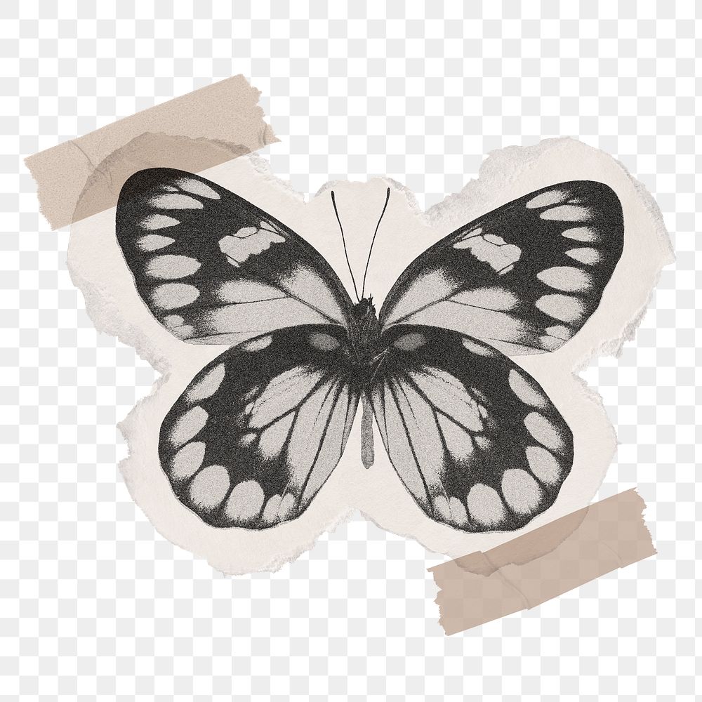 Black butterfly png sticker, washi tape transparent background