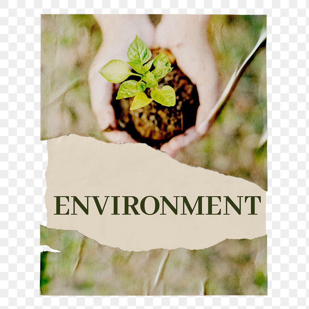 Png ripped environment poster, Earth Day celebration image on transparent background