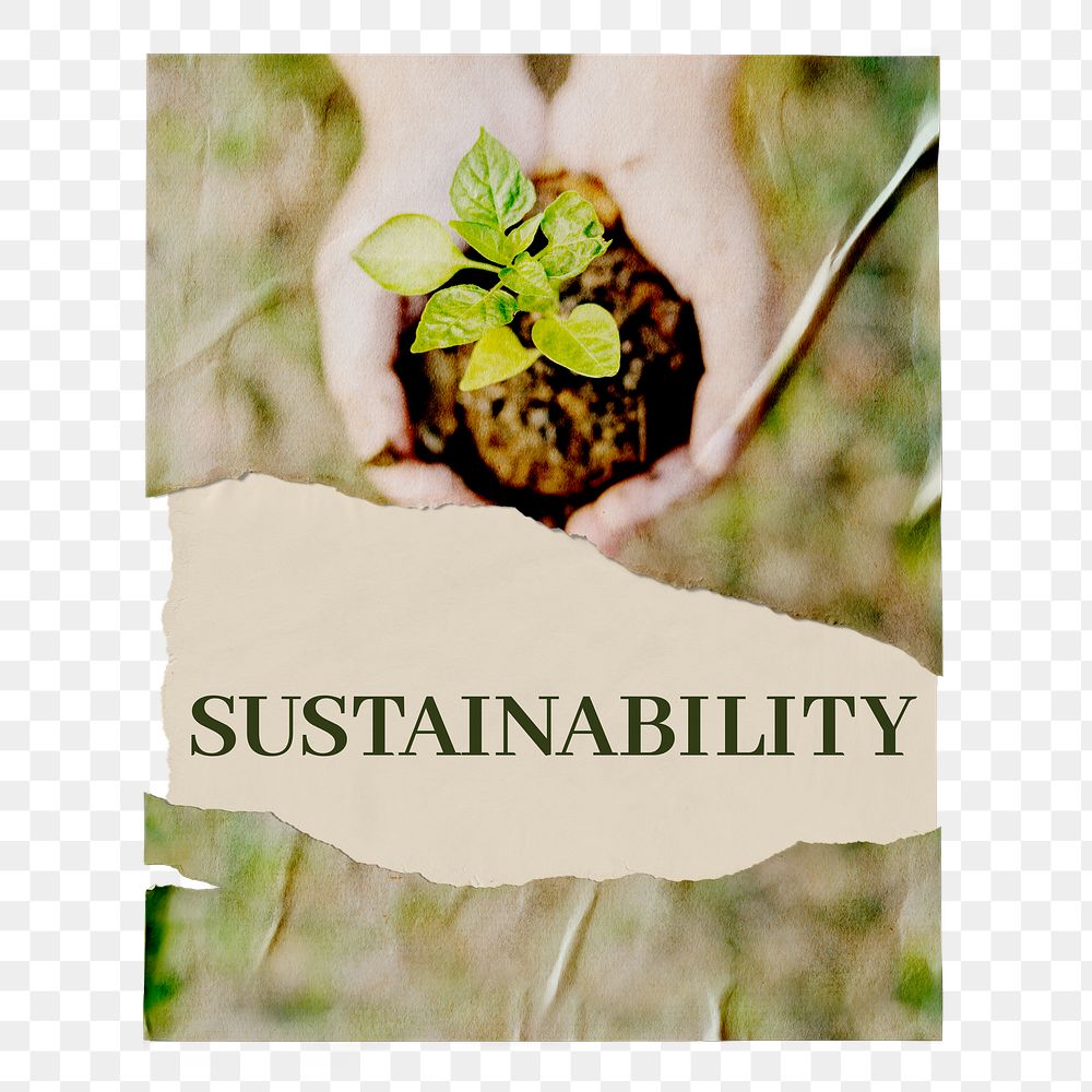 Png ripped sustainability poster, Earth Day celebration image on transparent background