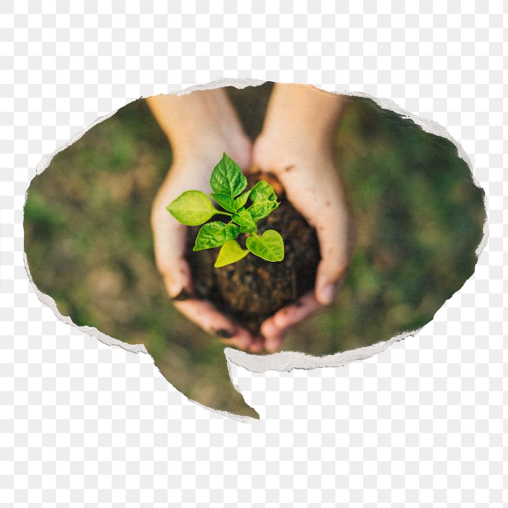 Png hand cupping plant paper speech bubble sticker, environment concept on transparent background