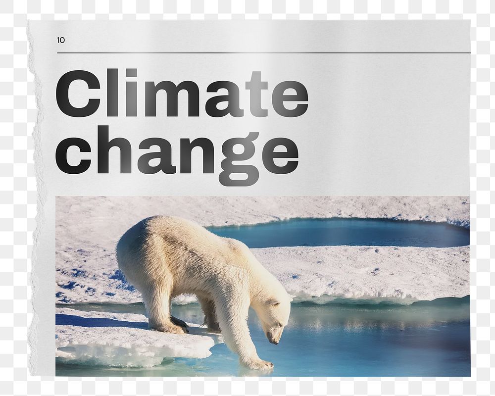Climate change png newspaper sticker, polar bear walking on ice image, transparent background