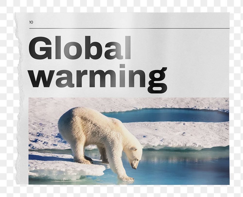 Global warming png newspaper sticker, polar bear walking on ice image, transparent background