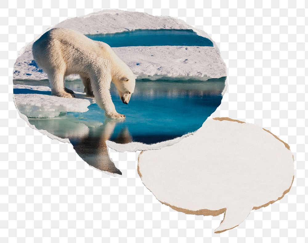 Climate change png paper speech bubble sticker, polar bear stepping on ice on transparent background