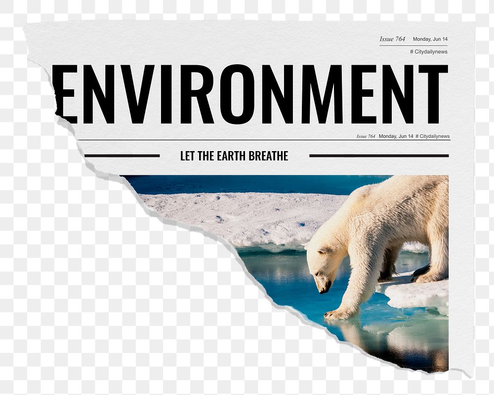 Environment png ripped newspaper sticker, polar bear walking on ice image, transparent background