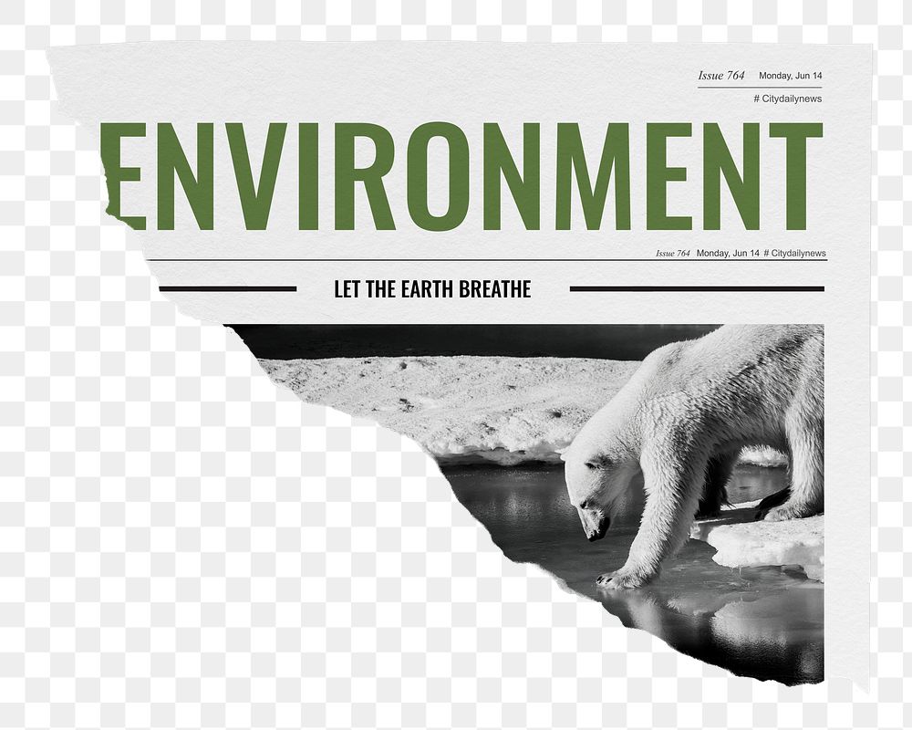 Environment png ripped newspaper sticker, polar bear walking on ice image, transparent background