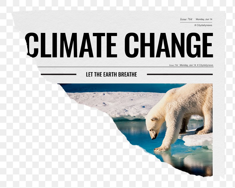 Climate change png ripped newspaper sticker, polar bear walking on ice image, transparent background