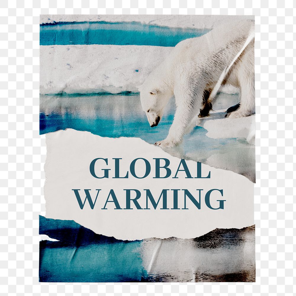 Global warming png ripped poster, polar bear stepping on ice, transparent background