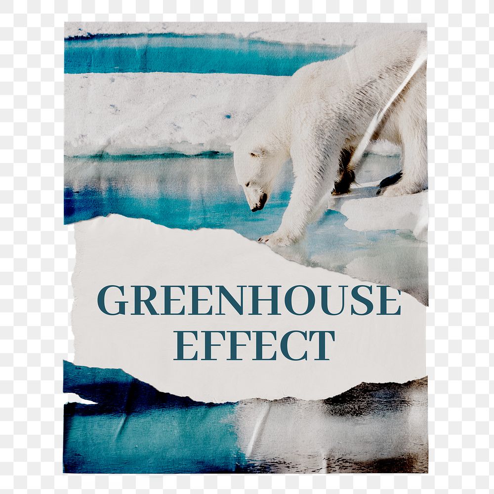 Greenhouse effect png ripped poster, polar bear stepping on ice, transparent background