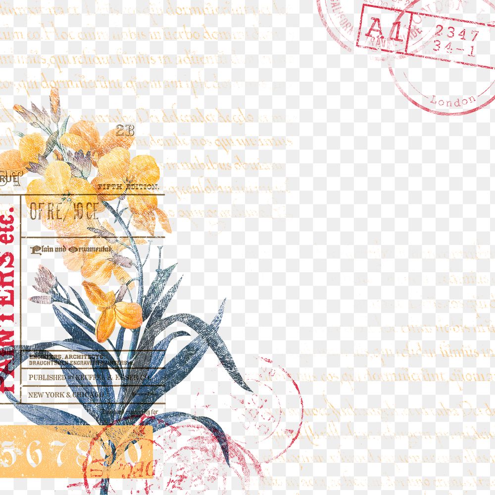 Flower png border frame, vintage illustration, transparent background