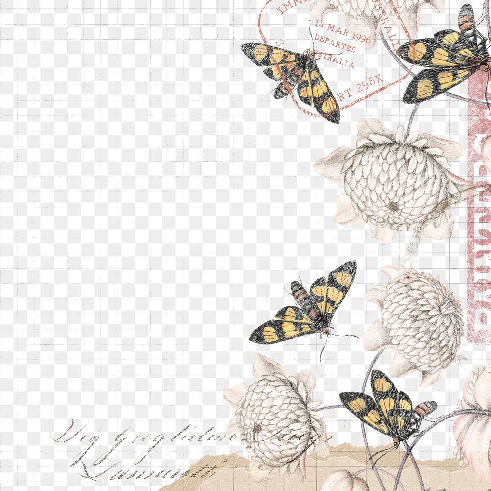 Png flower and butterfly border frame, vintage illustration, transparent background