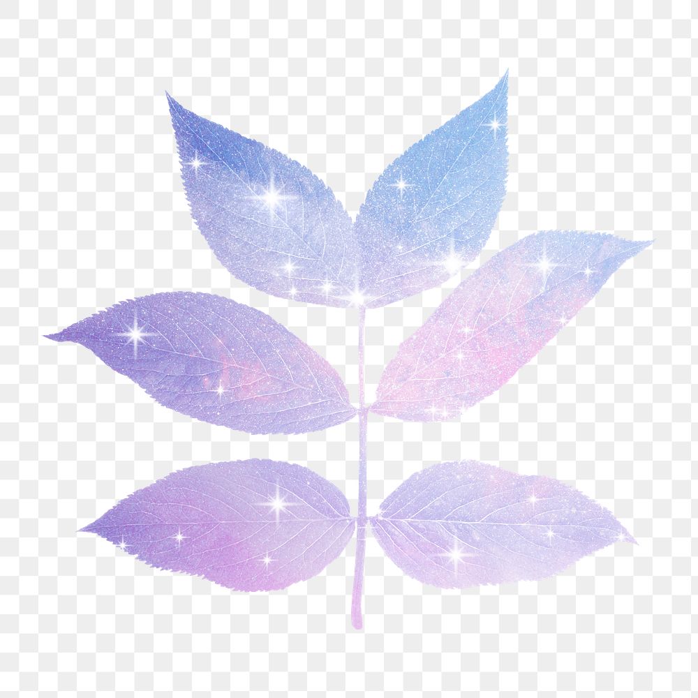 Pink holographic png leaf sticker, aesthetic on transparent background