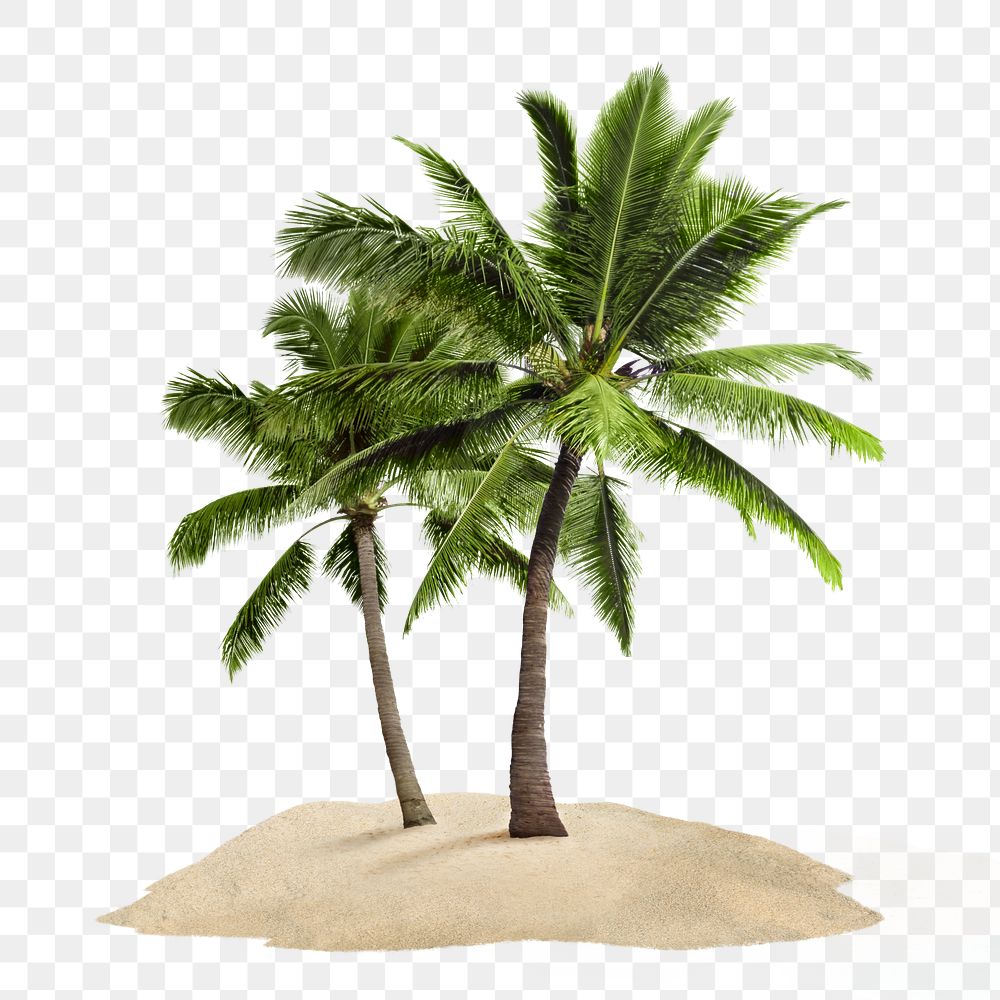 Tropical island png sticker, palm trees on transparent background