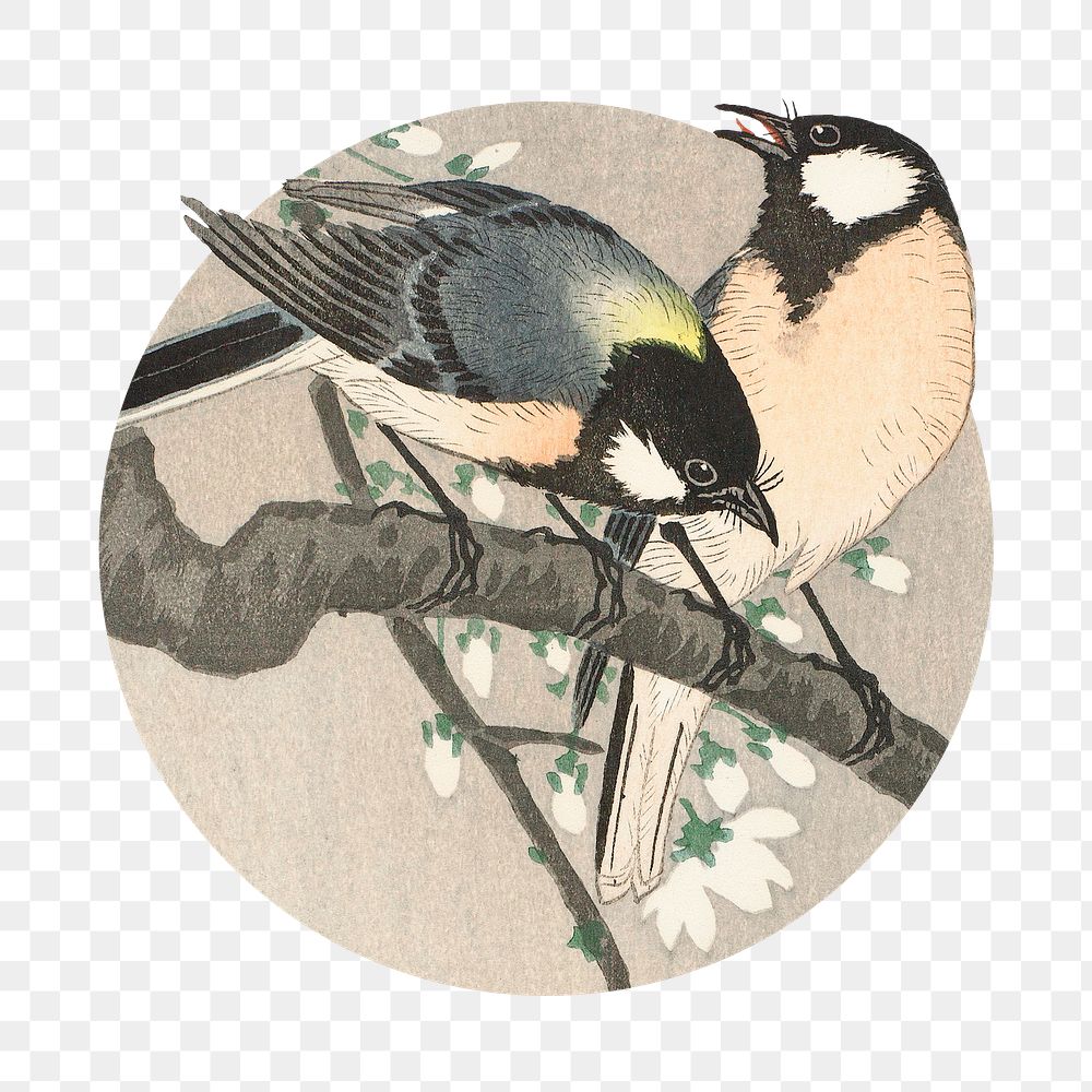 Png Tits on Cherry Branch badge sticker, painting by Ohara Koson, transparent background. Remixed by rawpixel