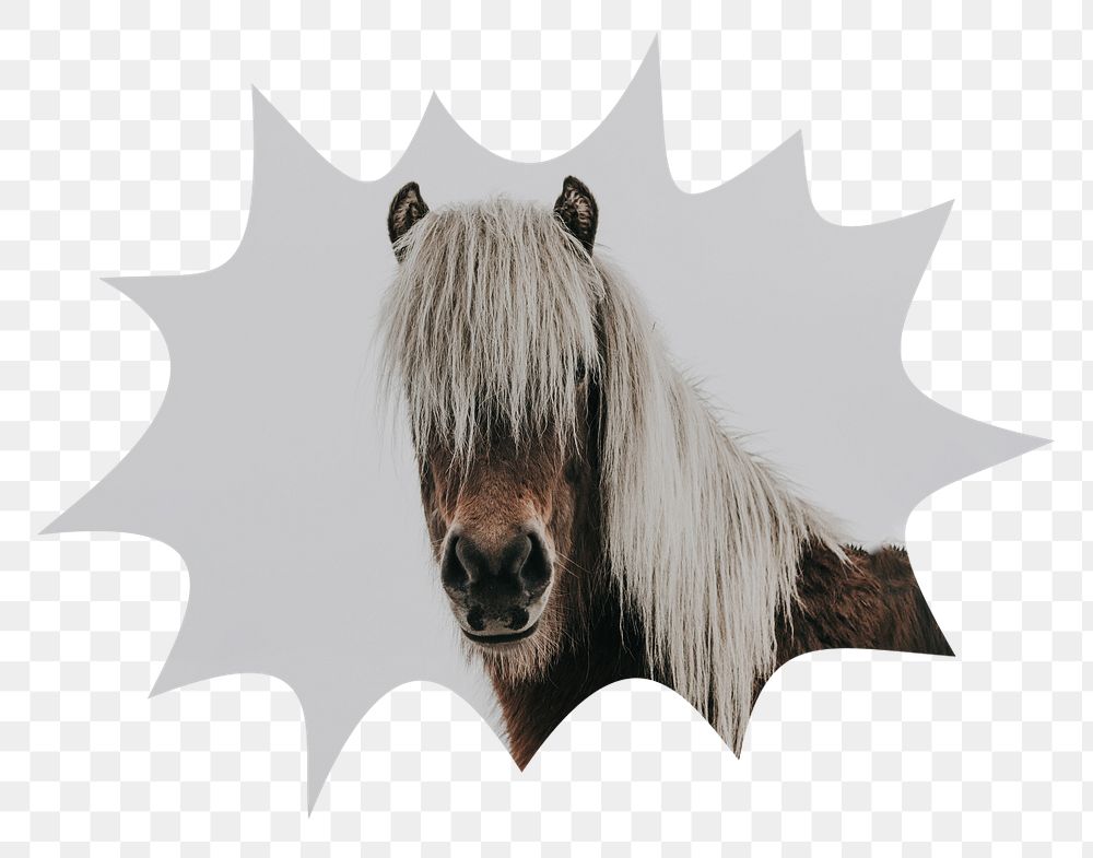 Horse portrait png badge sticker, animal photo in bang  shape, transparent background