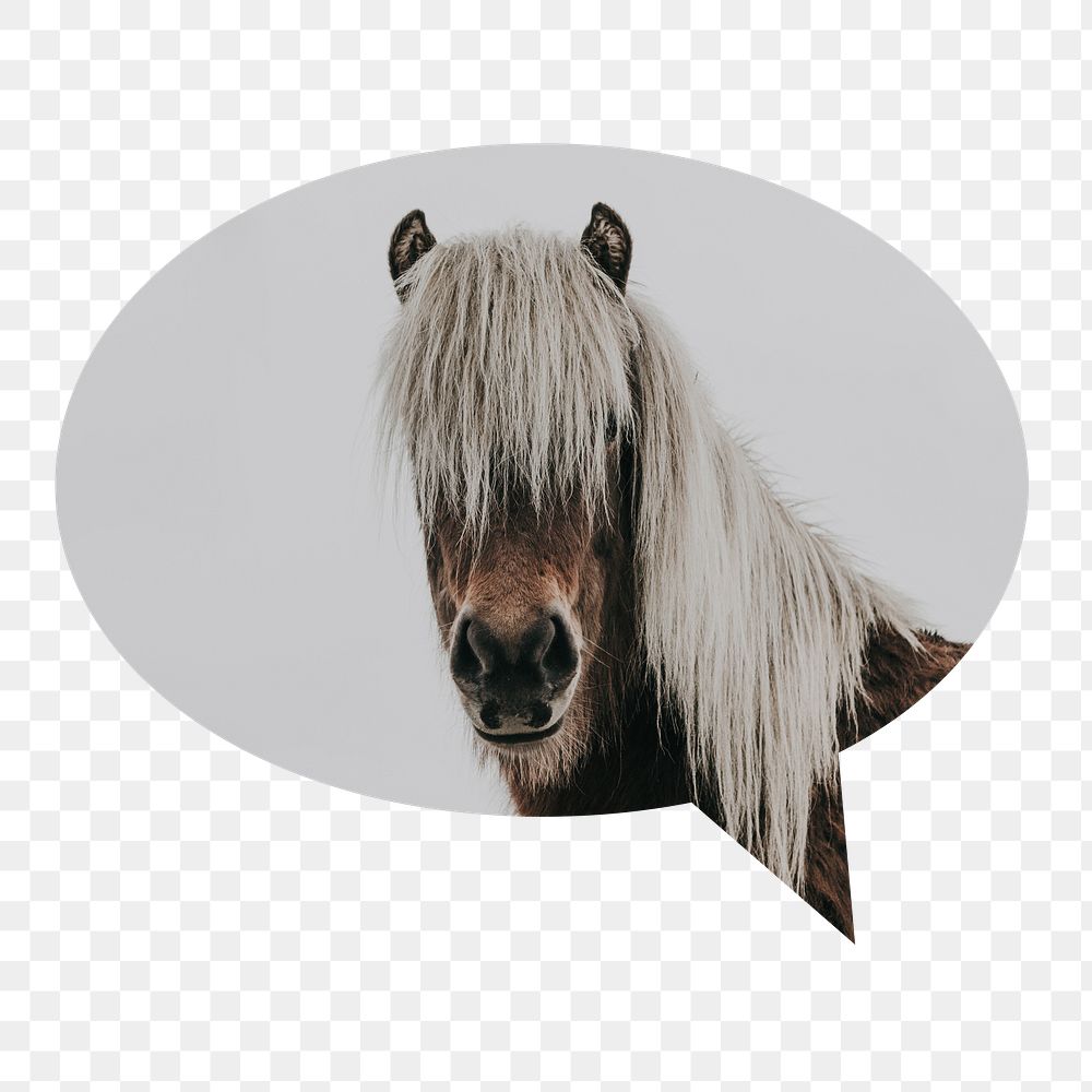 Horse portrait png badge sticker, animal photo in speech bubble, transparent background