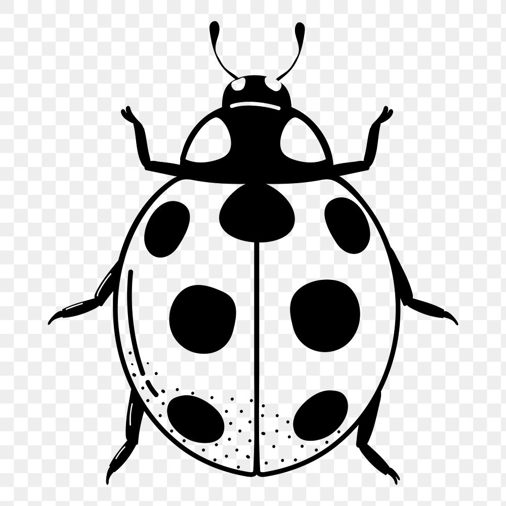 Ladybug png doodle sticker, black & white illustration, transparent background