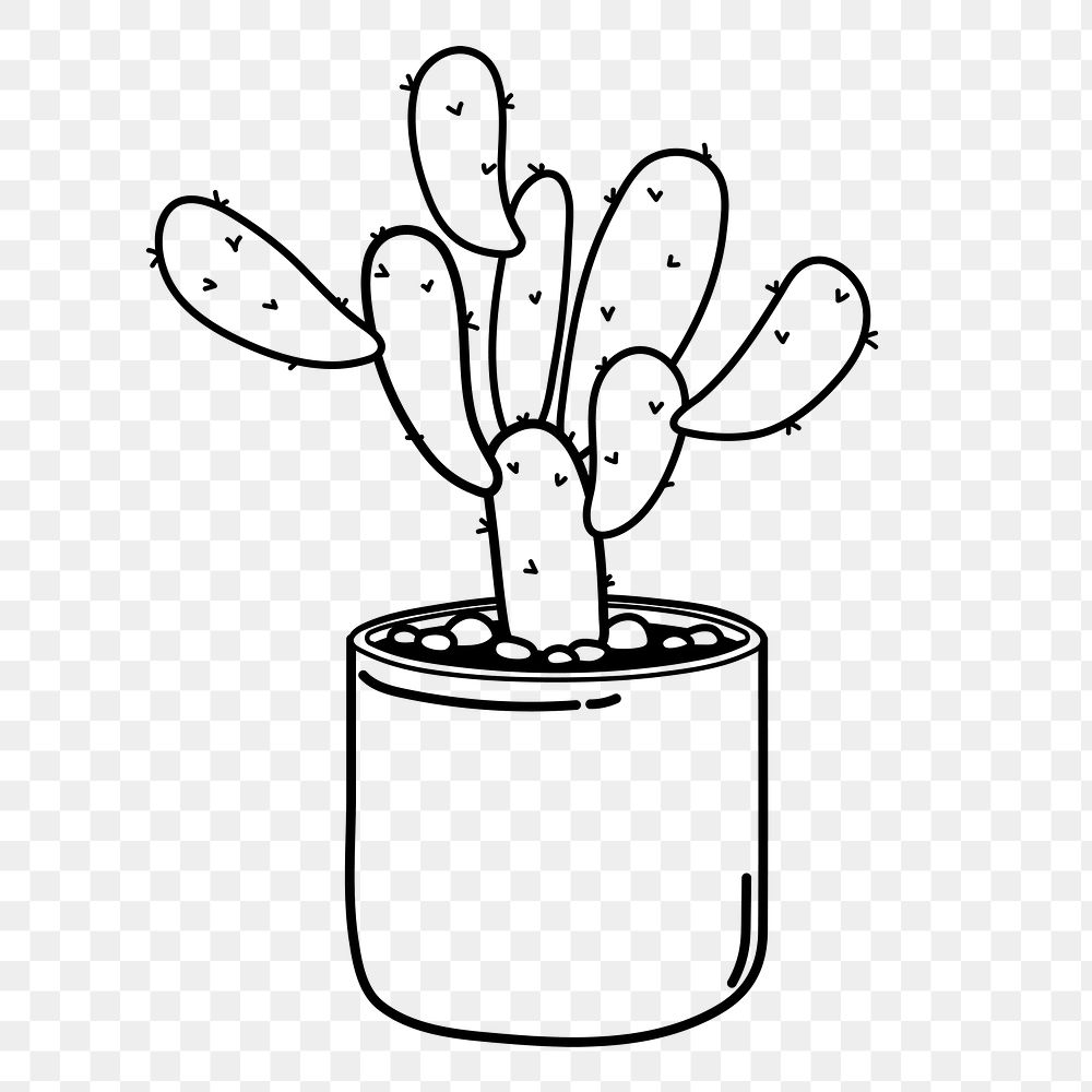 Cactus png doodle sticker, black & white illustration, transparent background