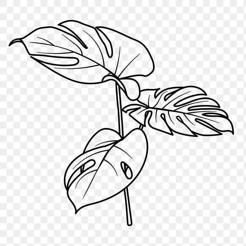 Monstera leaf png doodle sticker, black & white illustration, transparent background