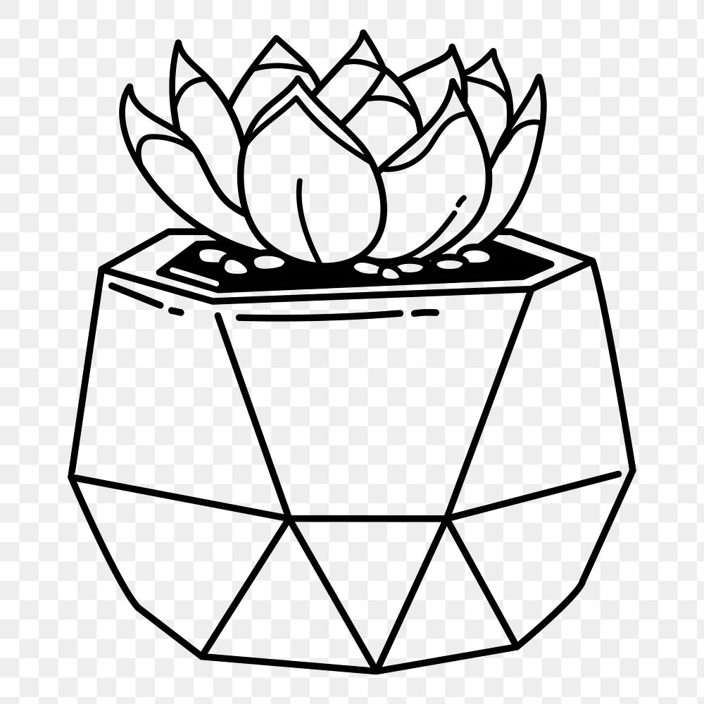 Succulent png doodle sticker, black & white illustration, transparent background