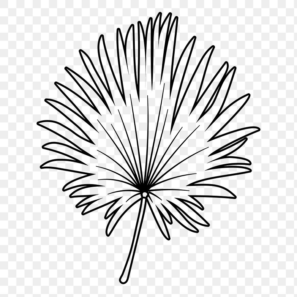 Fan palm leaf png doodle sticker, black & white illustration, transparent background