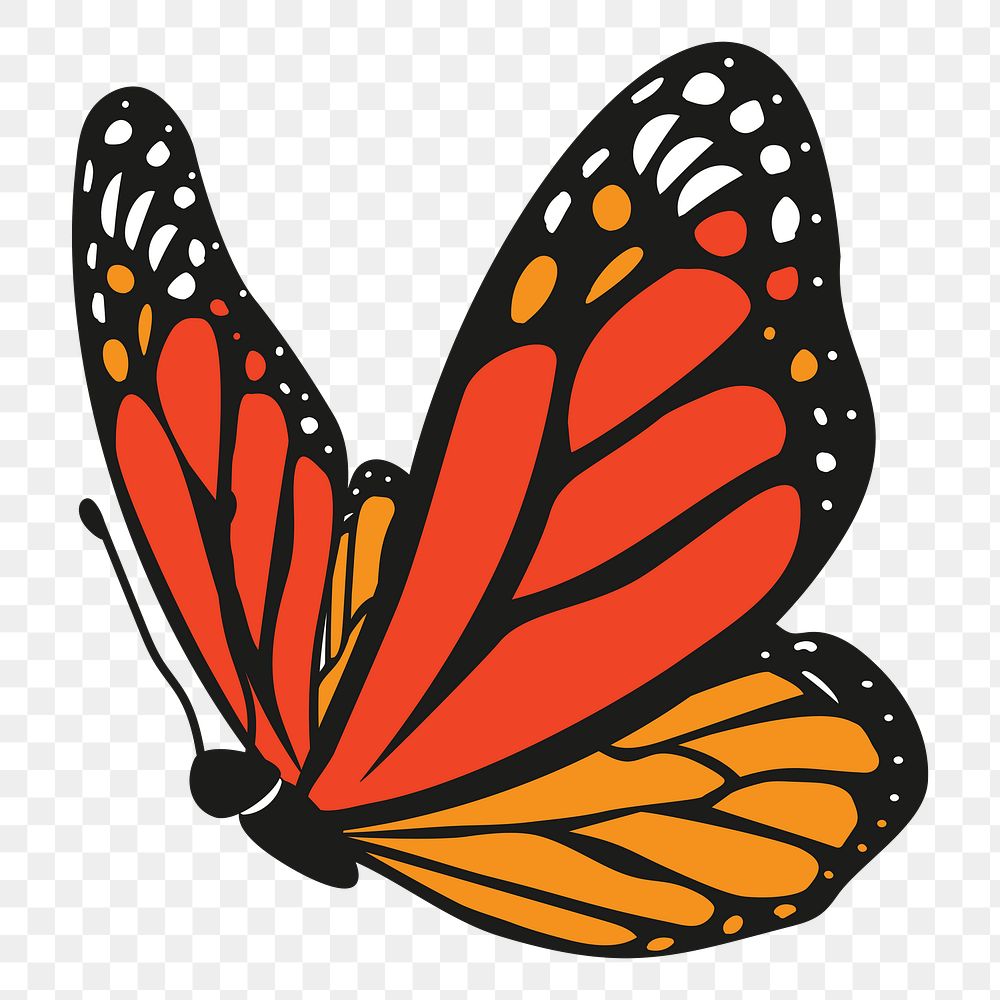 Butterfly png sticker, cute illustration, transparent background