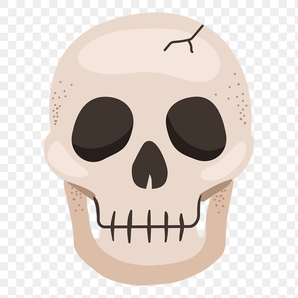 Skull png sticker, cute illustration, transparent background