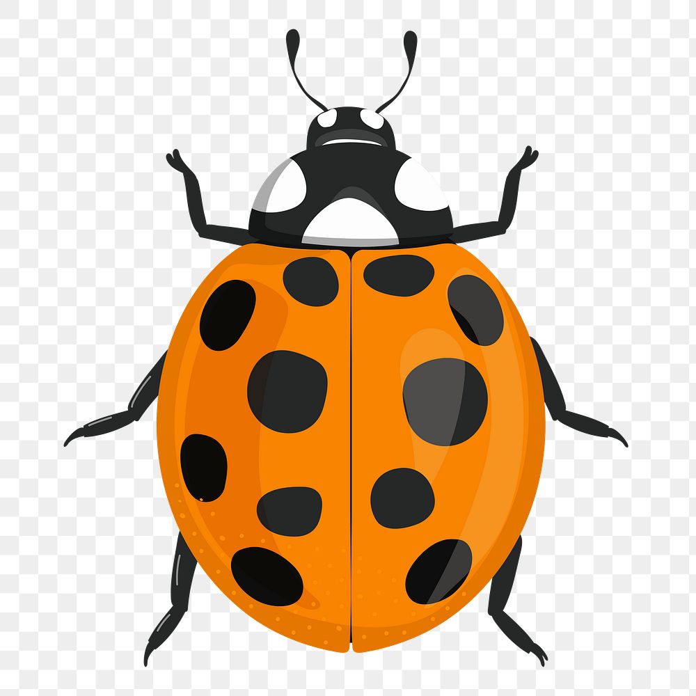 Ladybug png sticker, cute illustration, transparent background