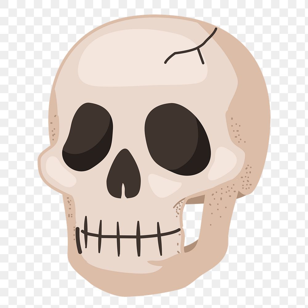 Skull png sticker, cute illustration, transparent background