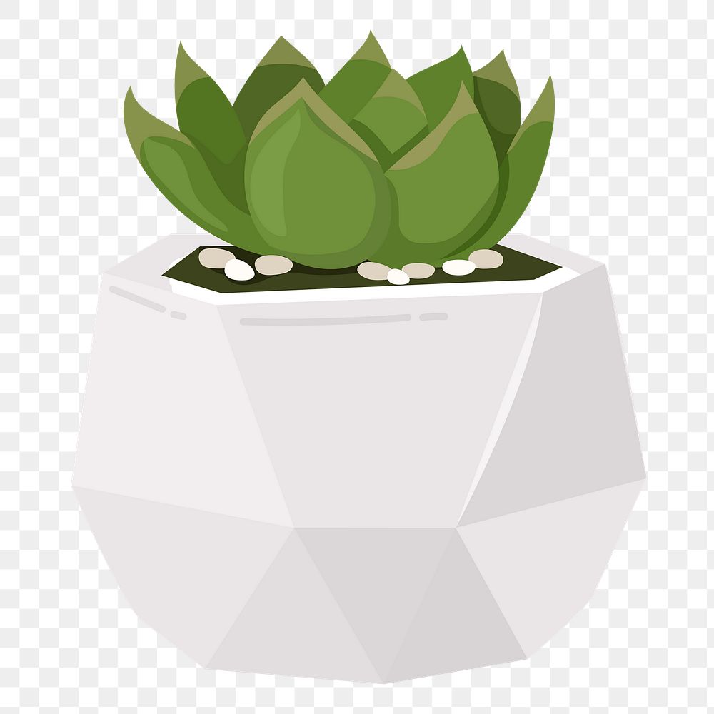 Succulent png sticker, cute illustration, transparent background