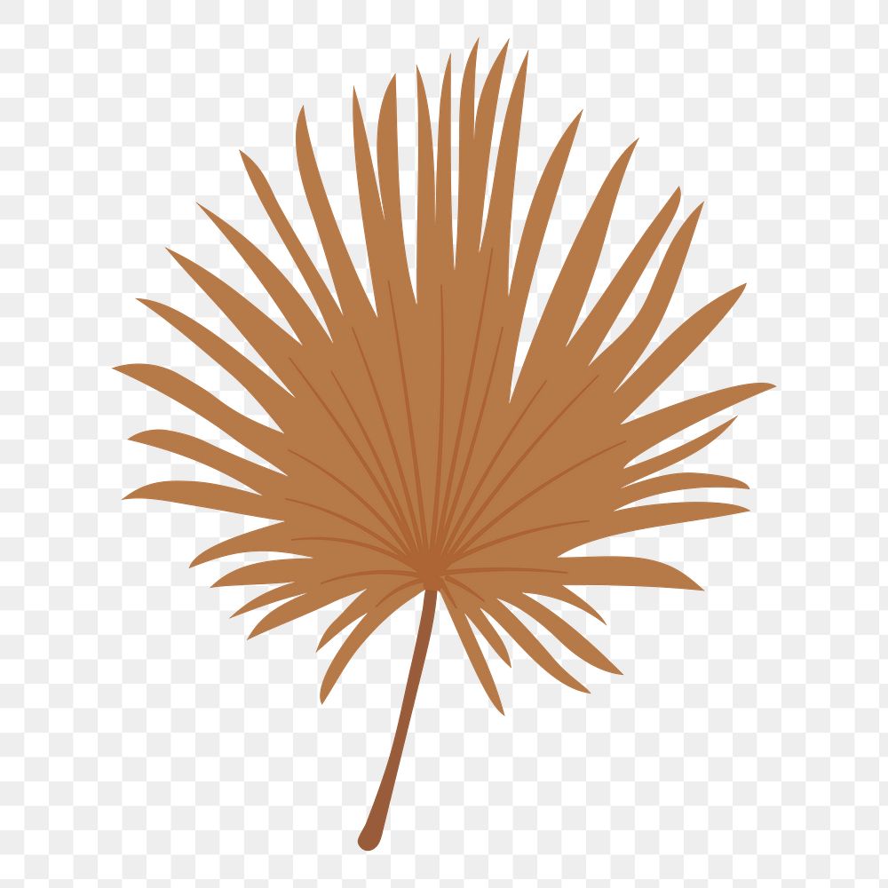 Fan palm leaf png sticker, cute illustration, transparent background