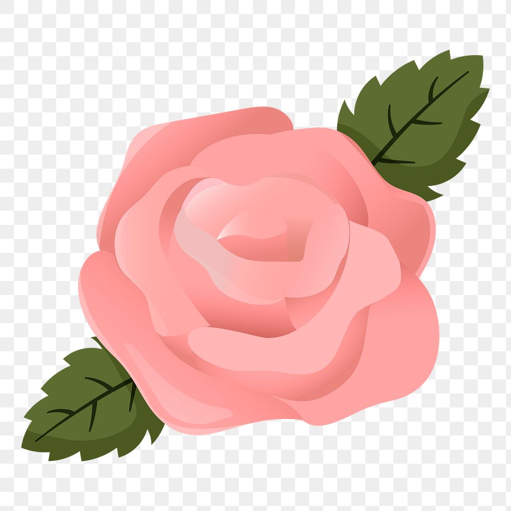 Pink rose png sticker, cute illustration, transparent background