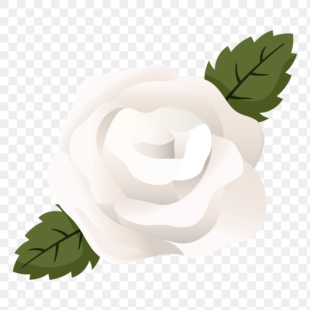 White rose png sticker, cute illustration, transparent background