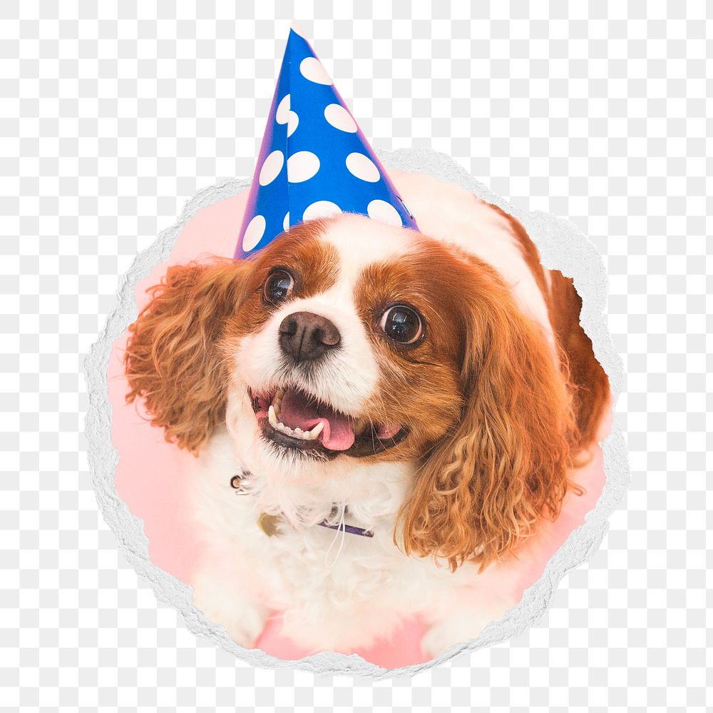 Dog birthday png sticker, cute pet photo in ripped paper badge, transparent background