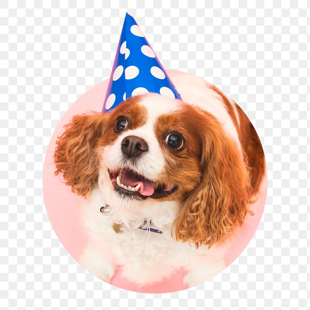 Dog birthday png sticker, cute pet photo badge, transparent background