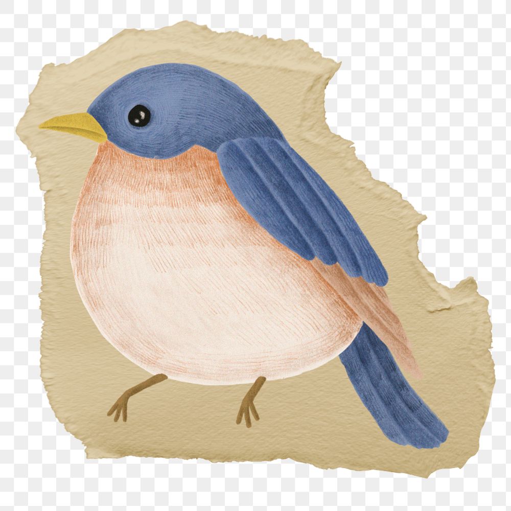 Blue bird png sticker, ripped paper on transparent background