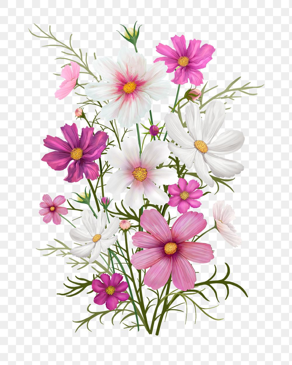 Daisy png flower sticker illustration, transparent background