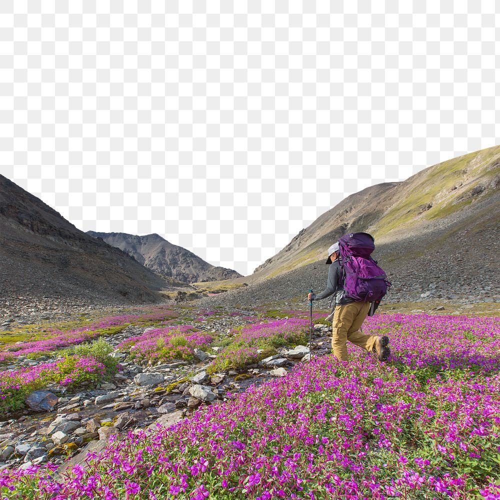 Male hiker png sticker, transparent background