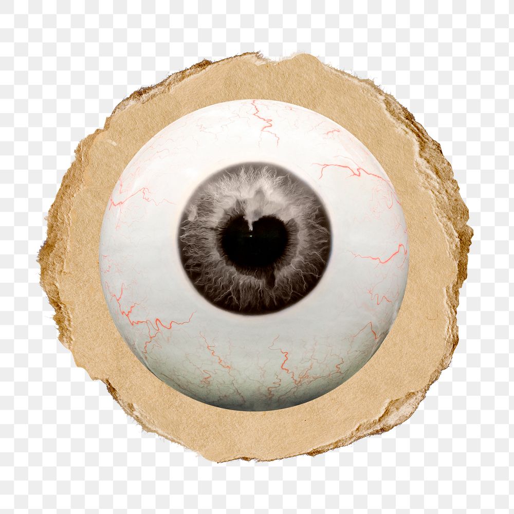 Human eyeball png sticker, ripped paper, transparent background