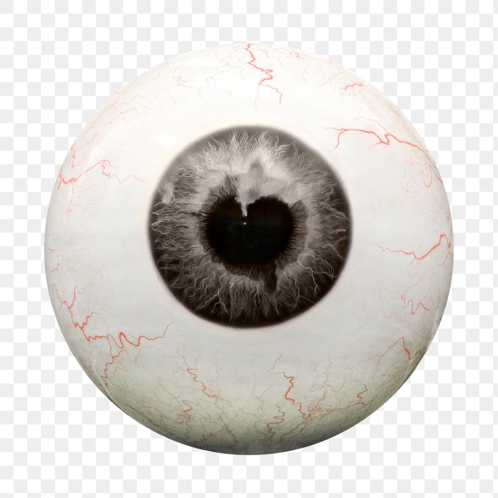 Human eyeball png sticker, transparent background