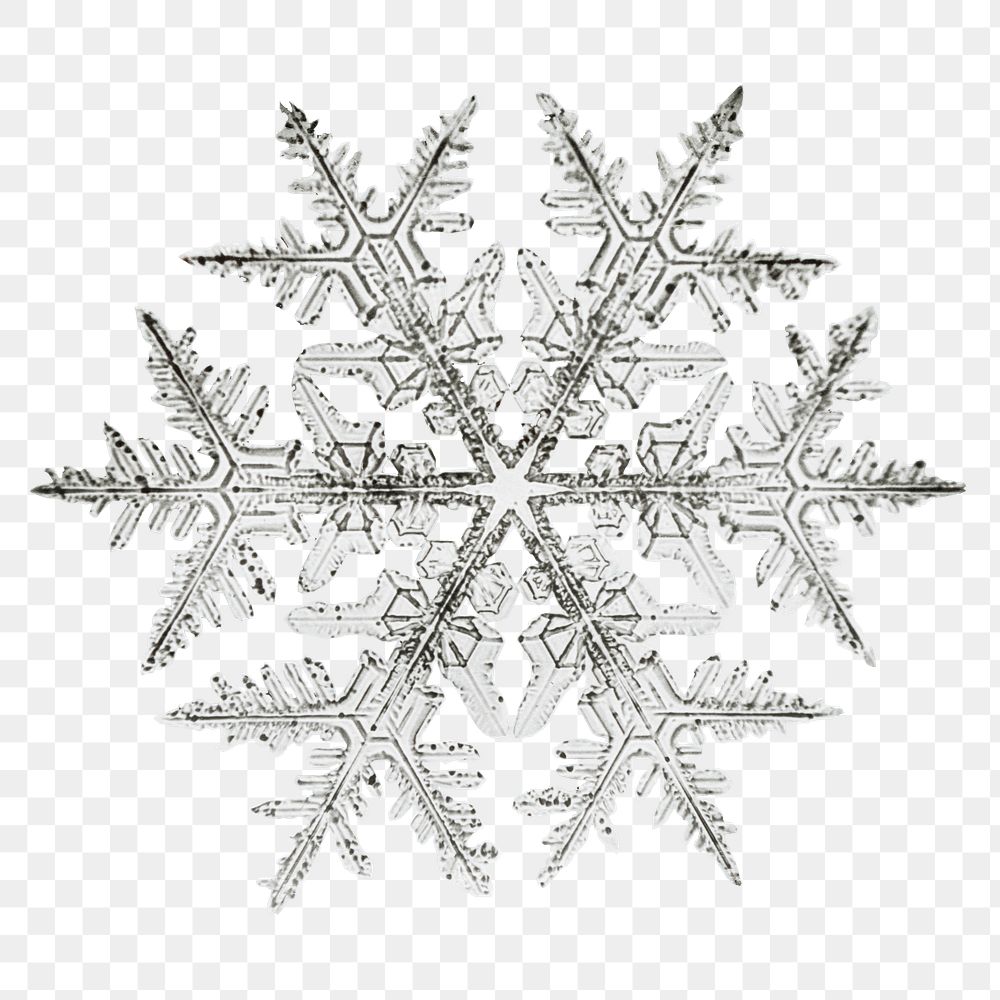 Aesthetic snowflake png sticker, Christmas image, transparent background