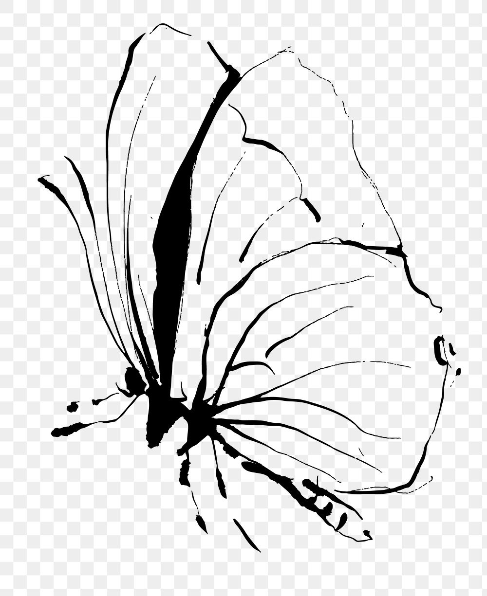 Aesthetic butterfly png sticker, insect illustration, transparent background