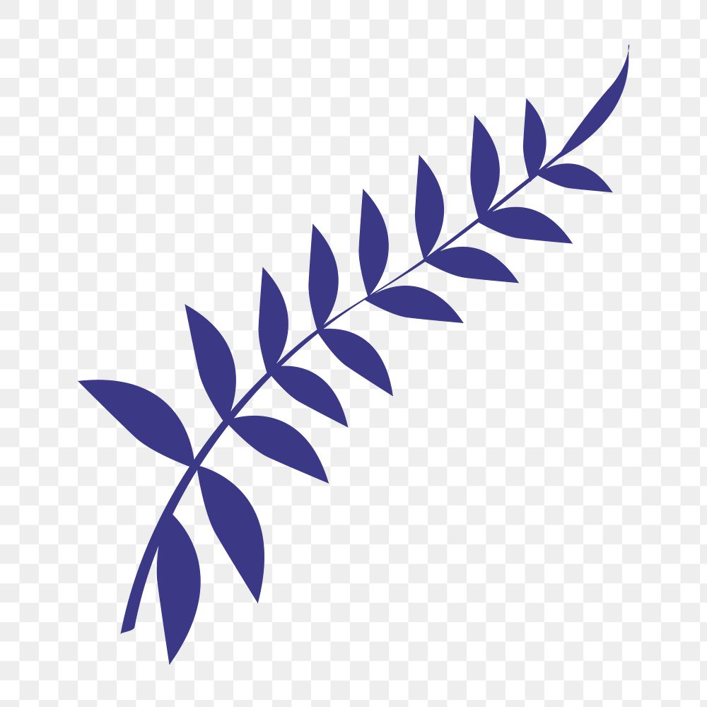 Blue acacia leaf png sticker, aesthetic tropical collage element on transparent background