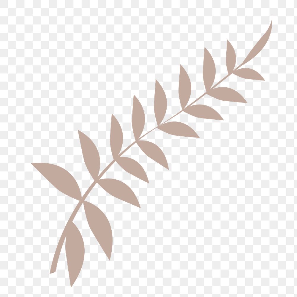 Pastel acacia leaf png clip art, aesthetic tropical illustration on transparent background